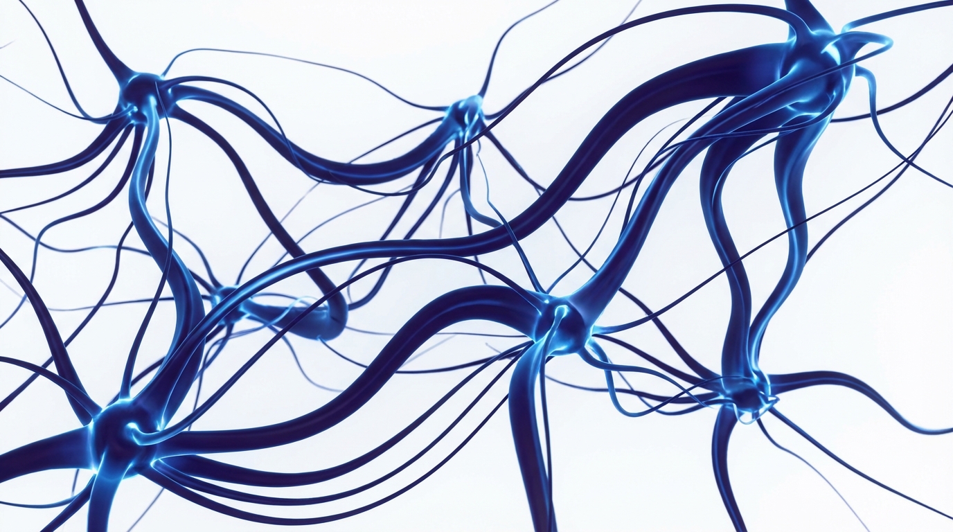 Abstract network connection